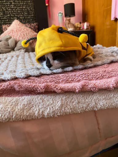 photo from Kayla K.